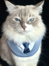 Load image into Gallery viewer, FORMAL ATTIRE BIB COLLARS - Des Voeux/ 寵物洋服圍兜 - 德輔
