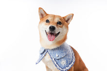 Load image into Gallery viewer, FORMAL ATTIRE BIB COLLARS - Susie / 寵物洋服圍兜 - 蘇西
